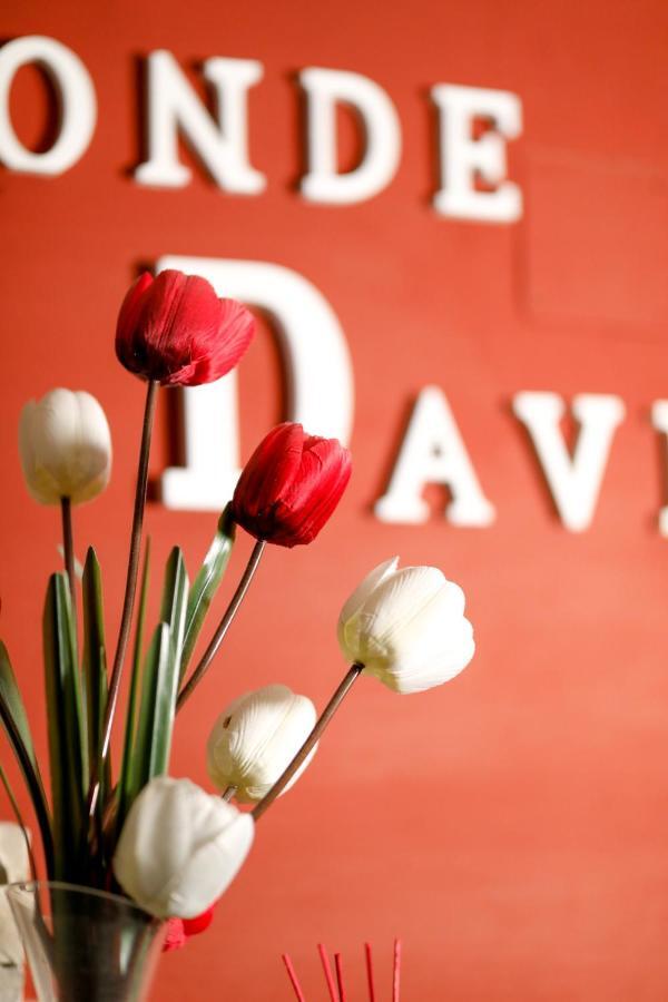 Hostal Conde David Salamanca Bagian luar foto